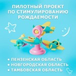 пил.проект